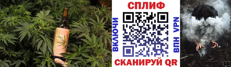 Cannafood конопля Кизилюрт