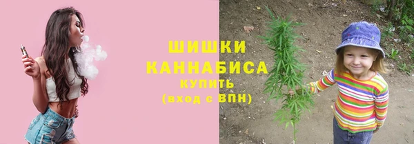 прущие грибы Абдулино