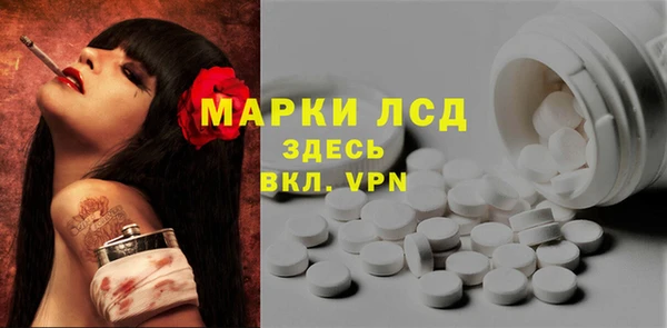 прущие грибы Абдулино