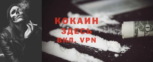 прущие грибы Абдулино