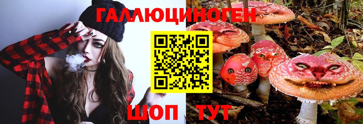 Псилоцибиновые грибы GOLDEN TEACHER  Галлюциногенные грибы MAGIC MUSHROOMS  Вход с VPN  Кизилюрт 